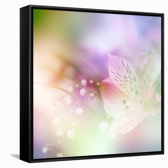 Beautiful Flowers Made with Color Filters-Timofeeva Maria-Framed Stretched Canvas