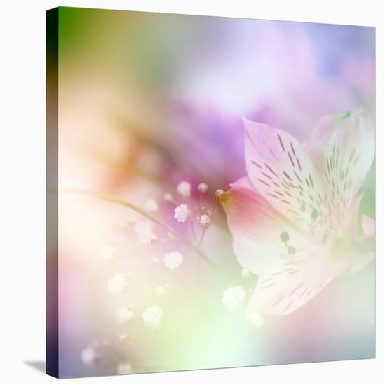 Beautiful Flowers Made with Color Filters-Timofeeva Maria-Stretched Canvas