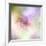 Beautiful Flowers Made with Color Filters-Timofeeva Maria-Framed Art Print