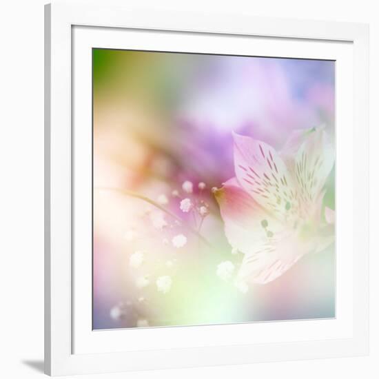 Beautiful Flowers Made with Color Filters-Timofeeva Maria-Framed Art Print