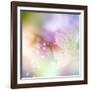 Beautiful Flowers Made with Color Filters-Timofeeva Maria-Framed Art Print