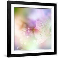 Beautiful Flowers Made with Color Filters-Timofeeva Maria-Framed Art Print