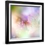 Beautiful Flowers Made with Color Filters-Timofeeva Maria-Framed Art Print