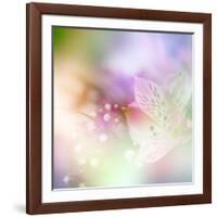 Beautiful Flowers Made with Color Filters-Timofeeva Maria-Framed Art Print