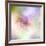 Beautiful Flowers Made with Color Filters-Timofeeva Maria-Framed Art Print