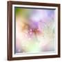 Beautiful Flowers Made with Color Filters-Timofeeva Maria-Framed Art Print