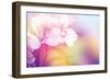 Beautiful Flowers Made with Color Filters-Timofeeva Maria-Framed Art Print