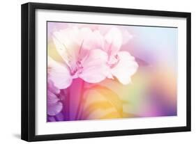 Beautiful Flowers Made with Color Filters-Timofeeva Maria-Framed Art Print