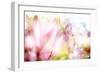 Beautiful Flowers Made with Color Filters-Timofeeva Maria-Framed Art Print