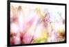 Beautiful Flowers Made with Color Filters-Timofeeva Maria-Framed Art Print