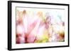 Beautiful Flowers Made with Color Filters-Timofeeva Maria-Framed Art Print