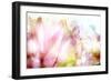 Beautiful Flowers Made with Color Filters-Timofeeva Maria-Framed Premium Giclee Print