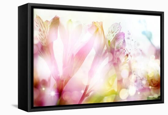 Beautiful Flowers Made with Color Filters-Timofeeva Maria-Framed Stretched Canvas