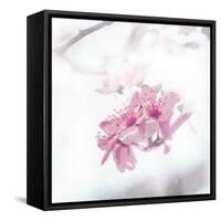 Beautiful Fog Two-OnRei-Framed Stretched Canvas