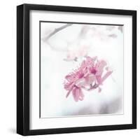 Beautiful Fog Two-OnRei-Framed Art Print