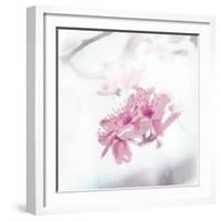 Beautiful Fog Two-OnRei-Framed Art Print