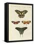 Beautiful Foreign Butterflies-null-Framed Stretched Canvas