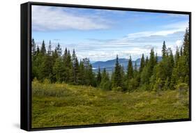 Beautiful Forest Landscape in the Kola Peninsula, Russia-Dmitry Pogodin-Framed Stretched Canvas