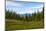 Beautiful Forest Landscape in the Kola Peninsula, Russia-Dmitry Pogodin-Mounted Photographic Print