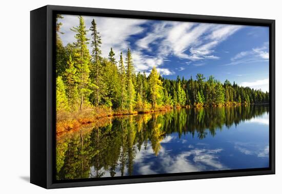 Beautiful Forest Reflecting on Calm Lake Shore at Algonquin Park, Canada-elenathewise-Framed Stretched Canvas