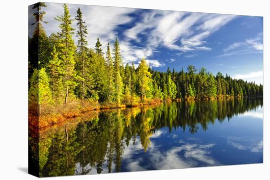 Beautiful Forest Reflecting on Calm Lake Shore at Algonquin Park, Canada-elenathewise-Stretched Canvas