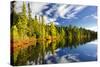 Beautiful Forest Reflecting on Calm Lake Shore at Algonquin Park, Canada-elenathewise-Stretched Canvas