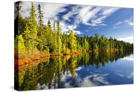 Beautiful Forest Reflecting on Calm Lake Shore at Algonquin Park, Canada-elenathewise-Stretched Canvas