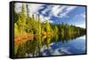 Beautiful Forest Reflecting on Calm Lake Shore at Algonquin Park, Canada-elenathewise-Framed Stretched Canvas
