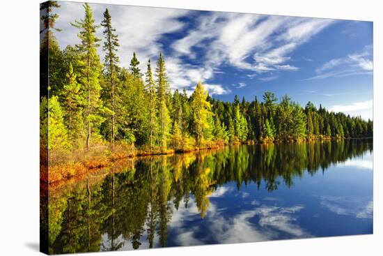 Beautiful Forest Reflecting on Calm Lake Shore at Algonquin Park, Canada-elenathewise-Stretched Canvas