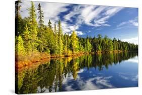 Beautiful Forest Reflecting on Calm Lake Shore at Algonquin Park, Canada-elenathewise-Stretched Canvas