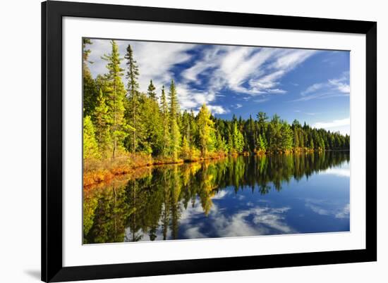 Beautiful Forest Reflecting on Calm Lake Shore at Algonquin Park, Canada-elenathewise-Framed Photographic Print