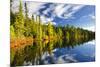 Beautiful Forest Reflecting on Calm Lake Shore at Algonquin Park, Canada-elenathewise-Mounted Photographic Print