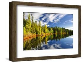 Beautiful Forest Reflecting on Calm Lake Shore at Algonquin Park, Canada-elenathewise-Framed Photographic Print