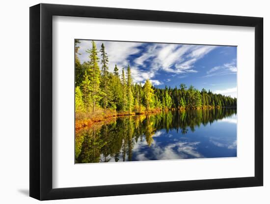 Beautiful Forest Reflecting on Calm Lake Shore at Algonquin Park, Canada-elenathewise-Framed Photographic Print