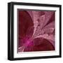 Beautiful Fractal Flower in Vinous and Purple-velirina-Framed Art Print