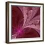 Beautiful Fractal Flower in Vinous and Purple-velirina-Framed Art Print