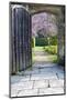 Beautiful Fresh Spring Blossom Viewed through Old Wooden Door and Arch-Veneratio-Mounted Photographic Print