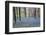 Beautiful Fresh Spring Bluebell Woods-Veneratio-Framed Photographic Print