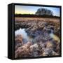 Beautiful Frozen Field Winter Landscape with Frosty Grass-Veneratio-Framed Stretched Canvas