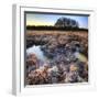 Beautiful Frozen Field Winter Landscape with Frosty Grass-Veneratio-Framed Photographic Print