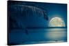 Beautiful Full Moon Reflected on the Calm Water of a Tropical Beach (Toned in Blue)-Kamira-Stretched Canvas