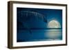 Beautiful Full Moon Reflected on the Calm Water of a Tropical Beach (Toned in Blue)-Kamira-Framed Photographic Print