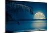 Beautiful Full Moon Reflected on the Calm Water of a Tropical Beach (Toned in Blue)-Kamira-Mounted Photographic Print