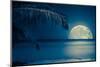 Beautiful Full Moon Reflected on the Calm Water of a Tropical Beach (Toned in Blue)-Kamira-Mounted Photographic Print