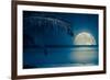 Beautiful Full Moon Reflected on the Calm Water of a Tropical Beach (Toned in Blue)-Kamira-Framed Photographic Print