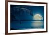 Beautiful Full Moon Reflected on the Calm Water of a Tropical Beach (Toned in Blue)-Kamira-Framed Photographic Print