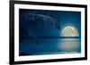 Beautiful Full Moon Reflected on the Calm Water of a Tropical Beach (Toned in Blue)-Kamira-Framed Photographic Print