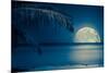 Beautiful Full Moon Reflected on the Calm Water of a Tropical Beach (Toned in Blue)-Kamira-Mounted Photographic Print