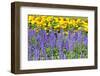 Beautiful Garden Flowers-peeravit-Framed Photographic Print