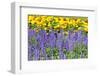 Beautiful Garden Flowers-peeravit-Framed Photographic Print